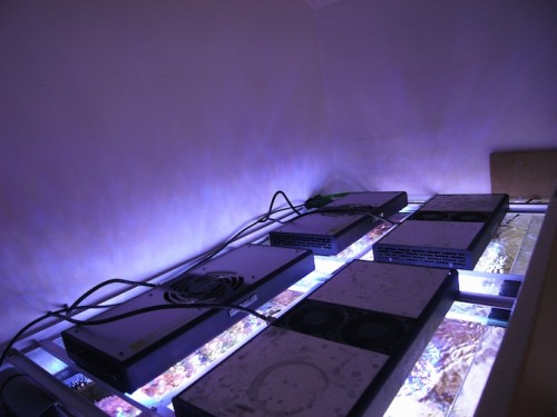 Lyset består af 4 X  110W MaxSpect LED med indbygget månelys