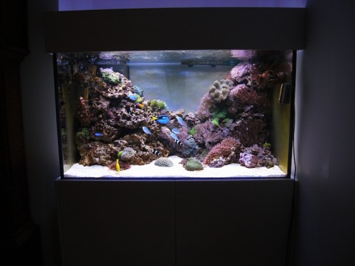 Akvariet måler 120X70X70 med weissglass i frontrude.