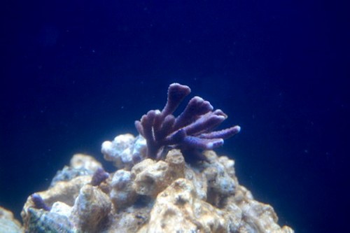 DSC_0341.jpg