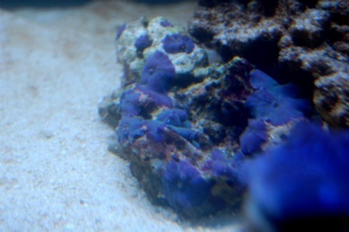 DSC_0363.jpg