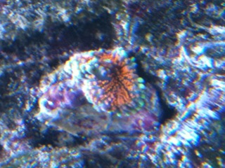 foto-28.JPG