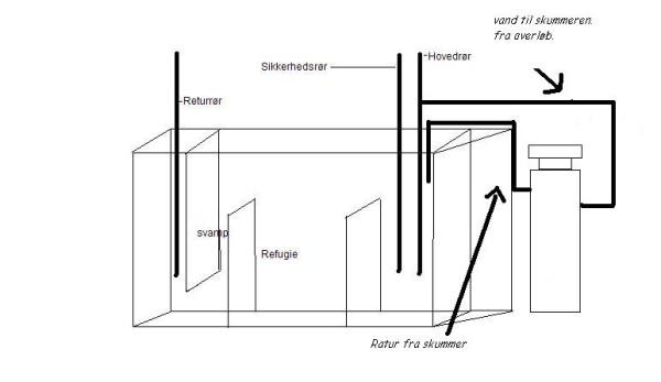 paletkirurgens_sump_112 (600 x 347).jpg
