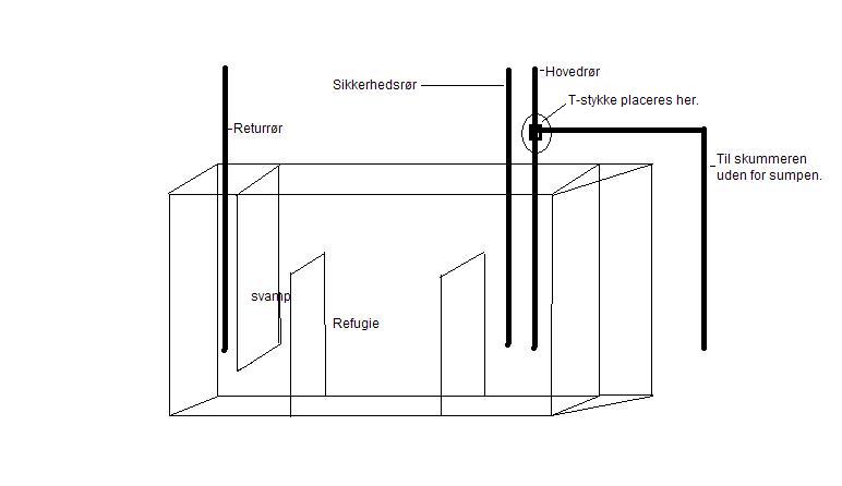 paletkirurgens sump.JPG