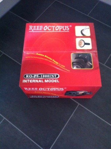 Box.jpeg