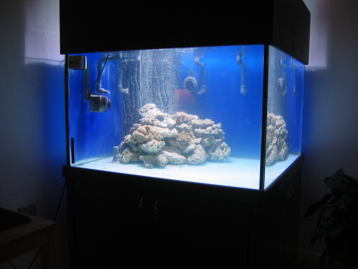 102-0213_IMG.JPG
