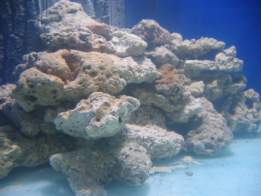 102-0212_IMG.JPG