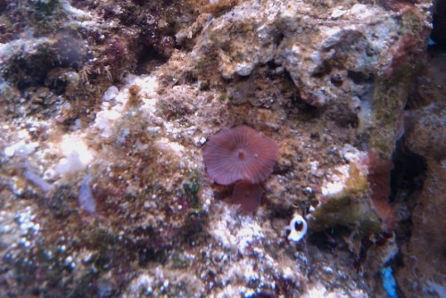IMAG0085.jpg