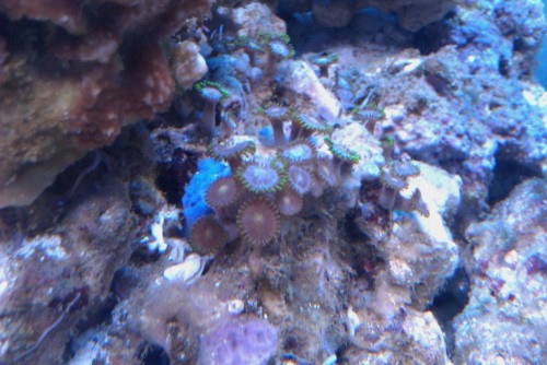 IMAG0089.jpg