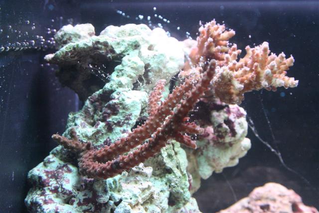 IMG_3679 (Small).JPG