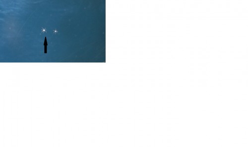 hvad er det.jpg