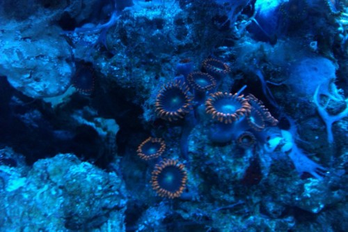 IMAG0102.jpg