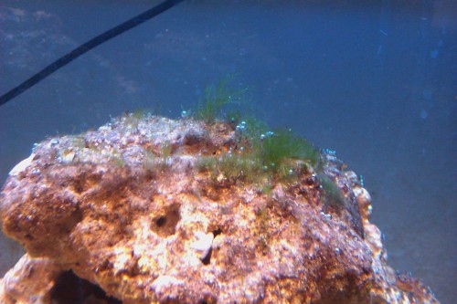 IMAG0097.jpg