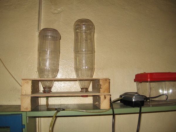 Artemia-setup.JPG