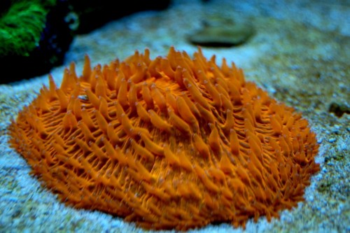 DSC_0504.jpg