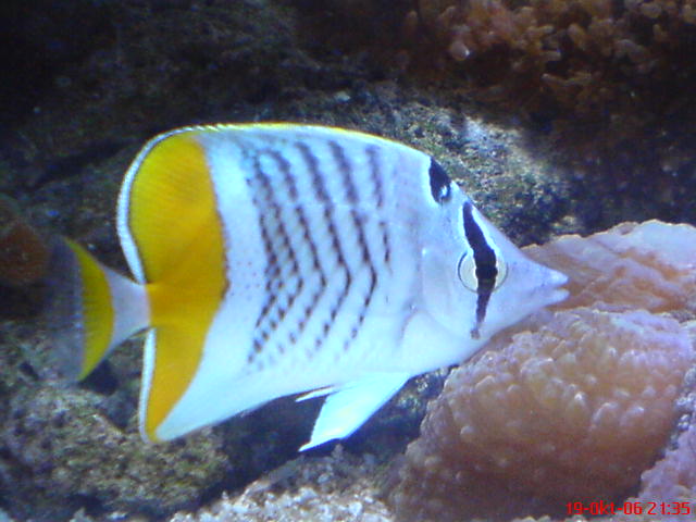 DSC00071.JPG