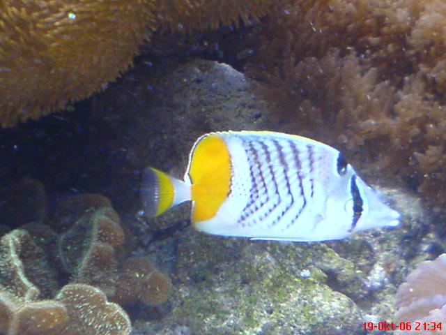 DSC00068.JPG
