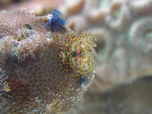 6 (512 x 384).jpg