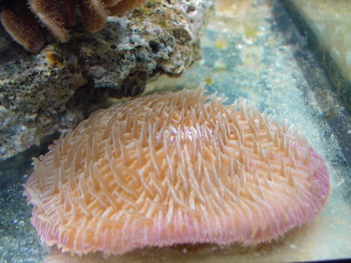 3 (512 x 384).jpg