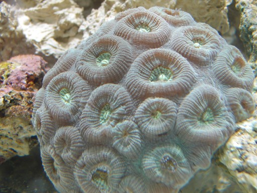 1 (512 x 384).jpg