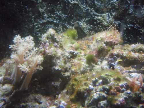 RSM130L 003.jpg