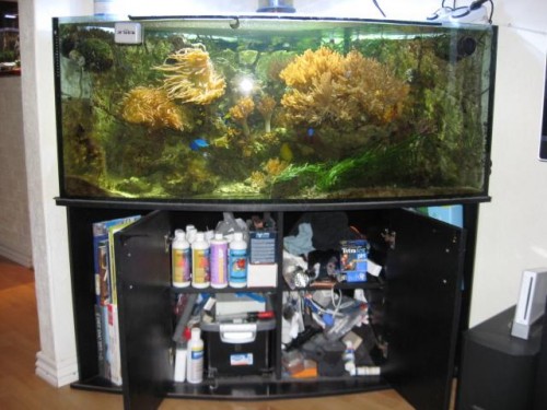 Mit Akvarie.jpg