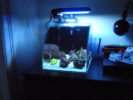 Akvariet