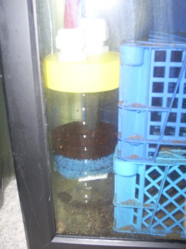DIY fosfatfilter med rowaphos