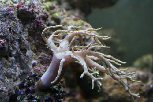 IMG_5385.JPG