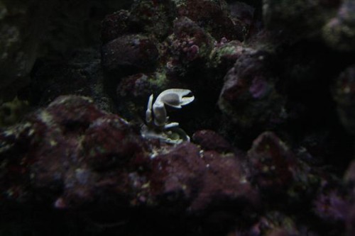IMG_5391.JPG