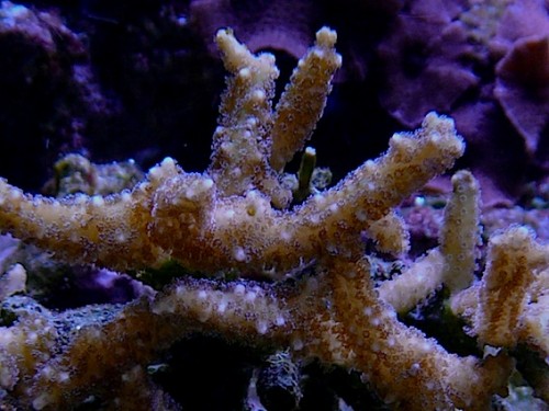L1020928.jpg