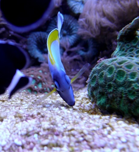 L1030315.jpg