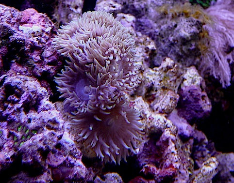 L1030414.jpg