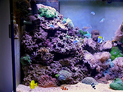 L1030418.jpg