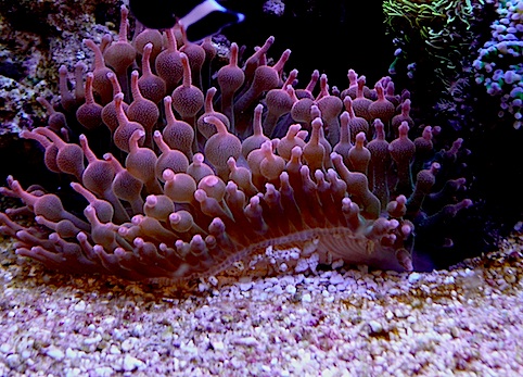 L1030422.jpg