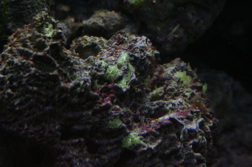 IMG_9163.JPG