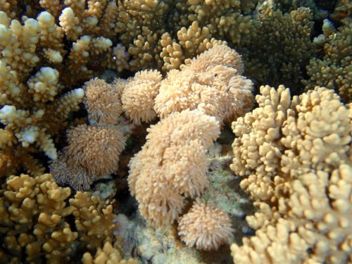 PC200837.JPG