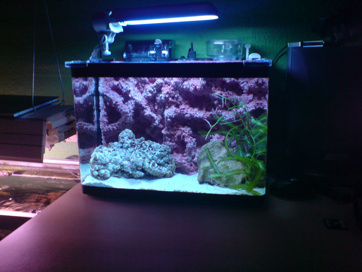 Nano fra reefs