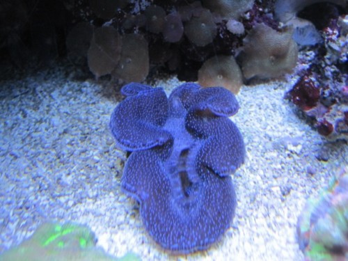 IMG_1238 [640x480].JPG