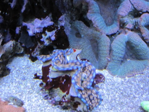 IMG_1239 [640x480].JPG