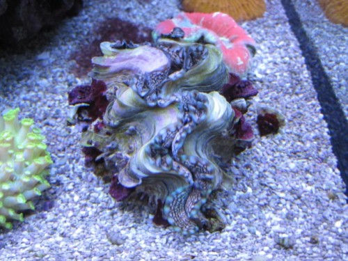 IMG_1240 [640x480].JPG