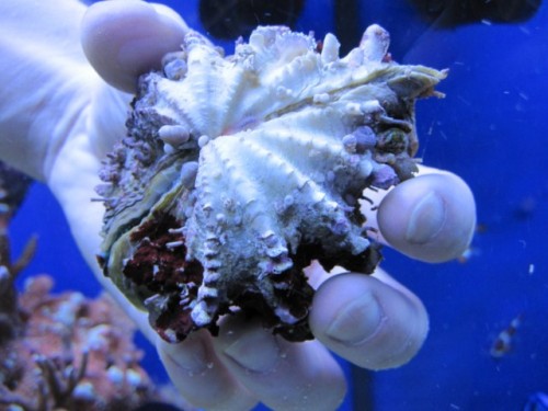 IMG_1242 [640x480].JPG