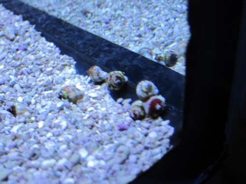 IMG_1260 [640x480].JPG