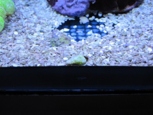 IMG_1261 [640x480].JPG