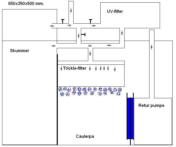 Final sump1.JPG