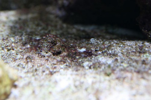IMG_5131_small.JPG