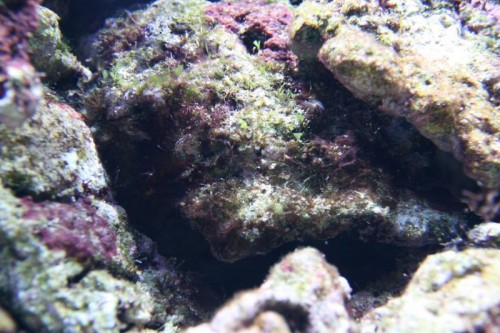 IMG_5136_small.JPG