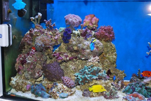 DSC_2025 (Small).JPG