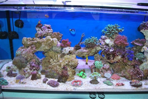 DSC_2047 (Small).JPG