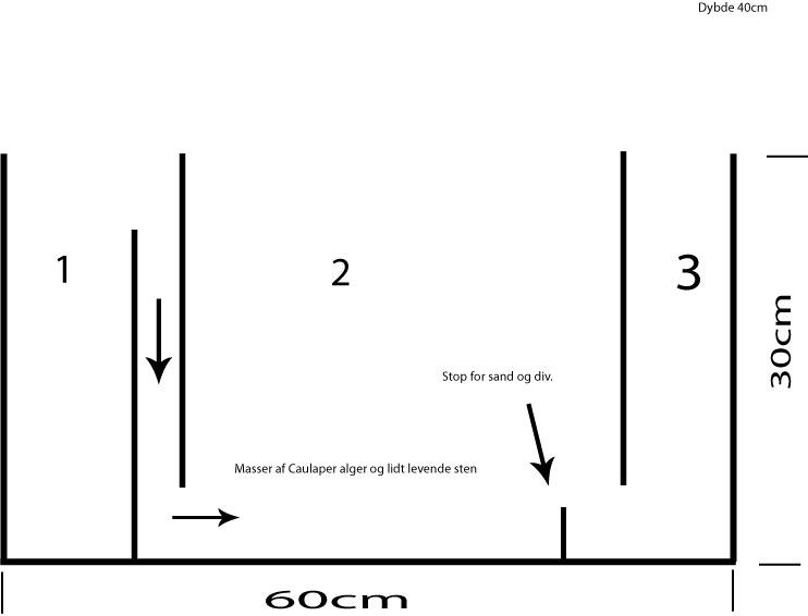 ny-sump.jpg