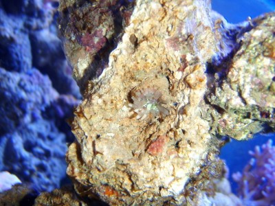 saltvand 008 (400 x 300).jpg